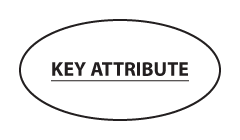 Attributes in Chen ERD notation: key attribute