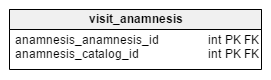 visit_anamnesis table