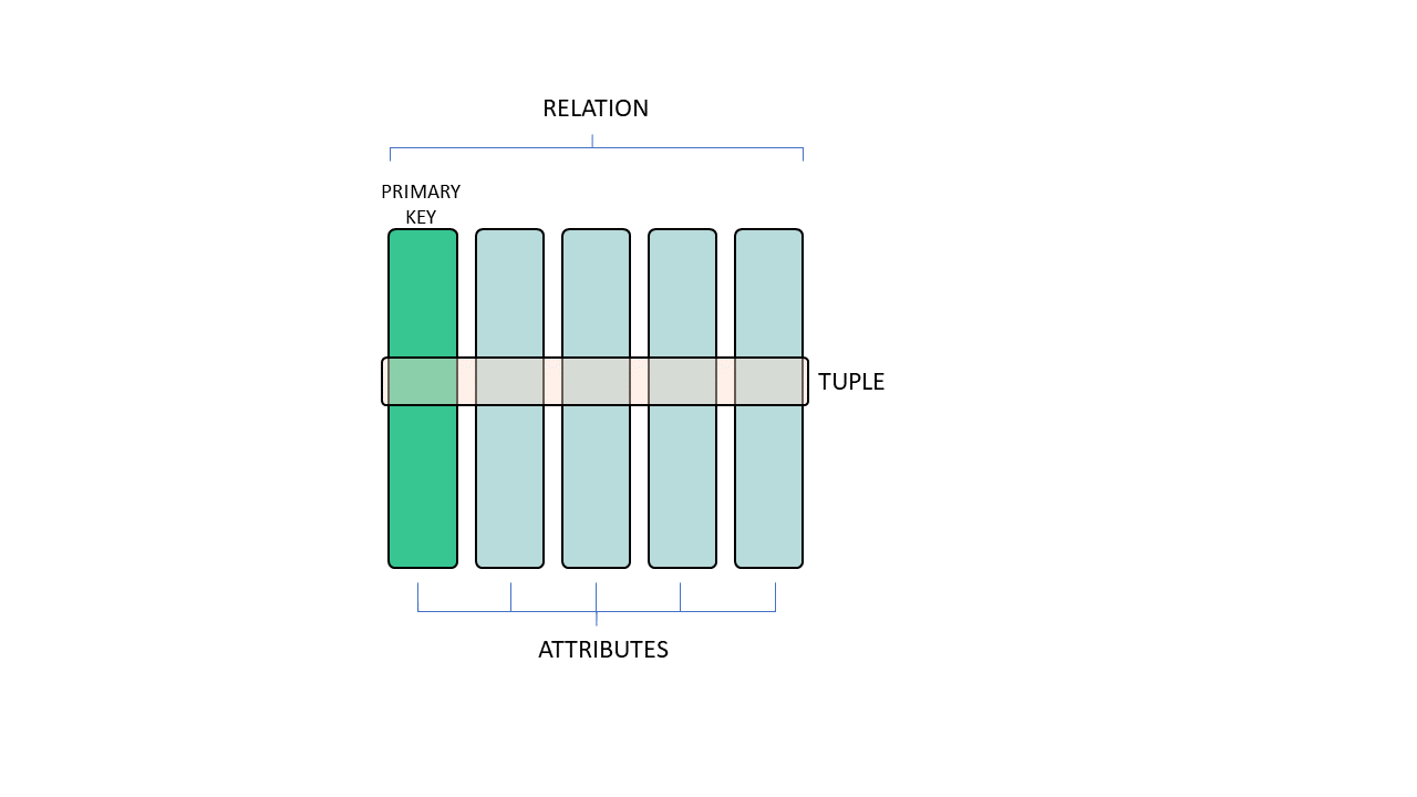 database designer skills